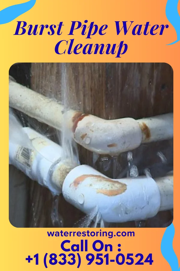 Burst Pipe Water Cleanup in Tower Lakes, IL