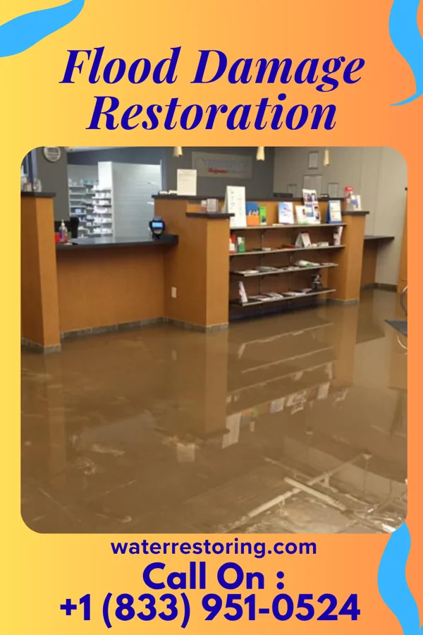 Flood Damage Restoration in Tower Lakes, IL