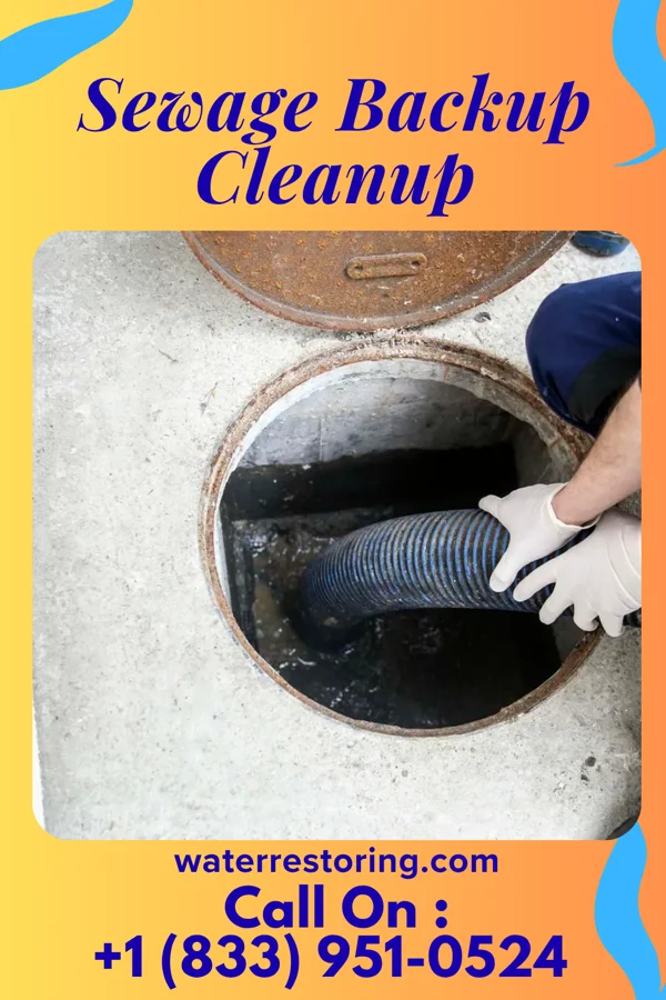 Sewage Backup Cleanup in Tower Lakes, IL